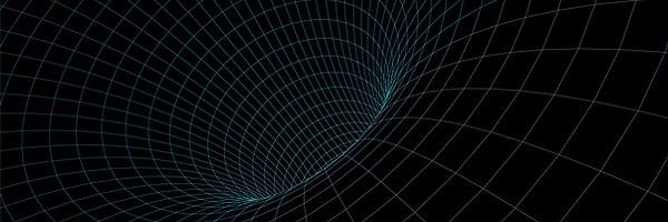 Black Hole Grid